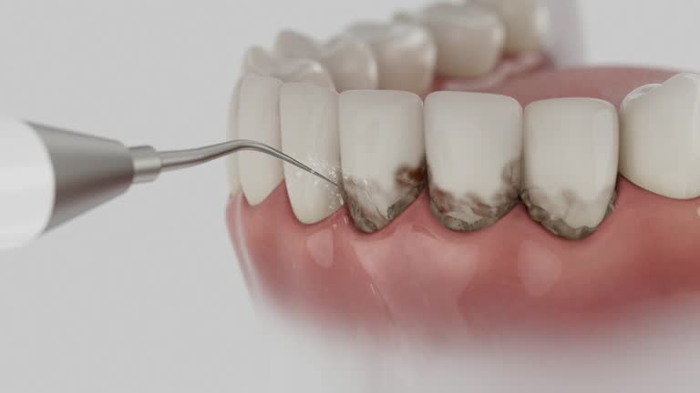 Reliable Dental contractor in Sneads Ferry, NC by Dentist Open Now